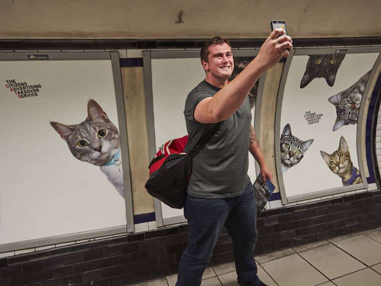 gatti metropolitana Londra