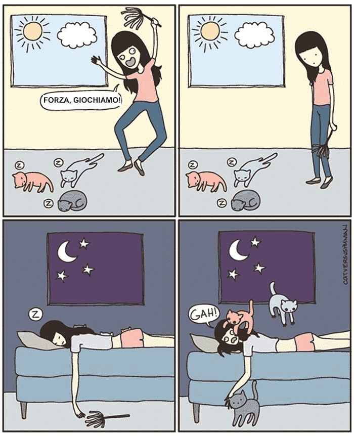 vivere con un gatto