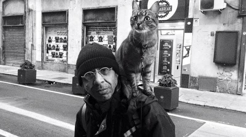 gatto helios veglia il suo amico senzatetto
