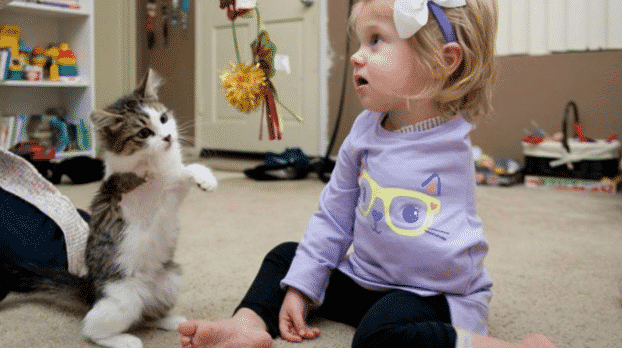 Una bimba senza un braccio ha adottato un gattino tripode