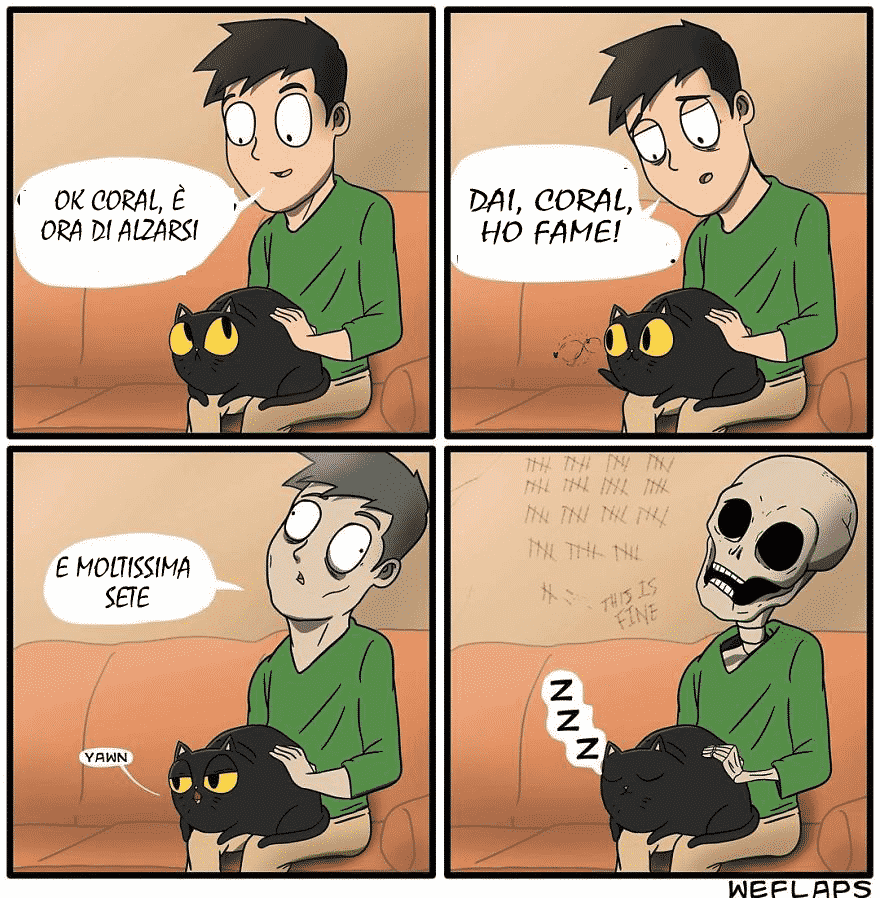 la vita insieme a un gatto