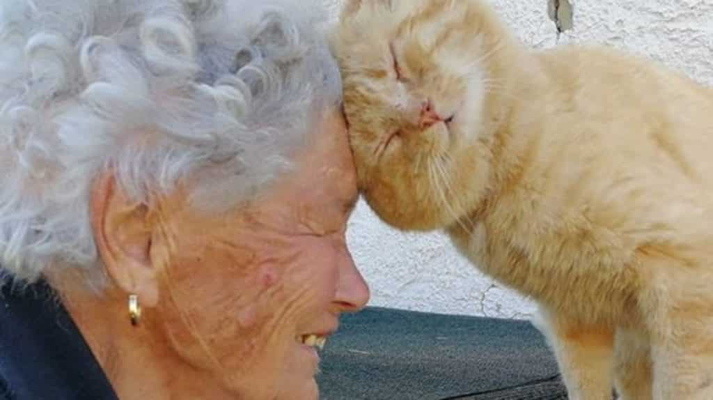 Nonna Dora e il gatto Mimmo si sono ritrovati