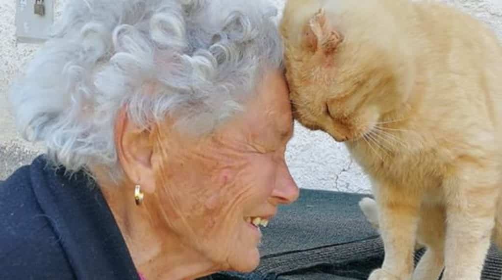 Nonna Dora e il gatto Mimmo si sono ritrovati