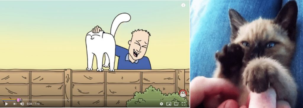 Simon's Cat ci insegna il comportamento felino