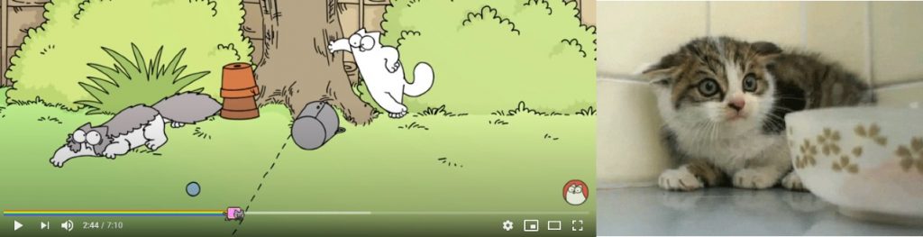 Simon's Cat ci insegna il comportamento felino
