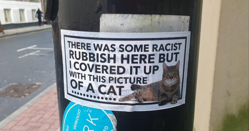 Gatti per combattere per il razzismo