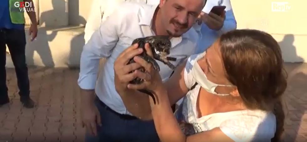Gattino salvato in Turchia