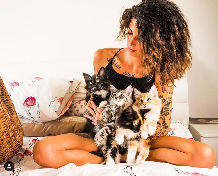 gatti e donne con tatuaggi