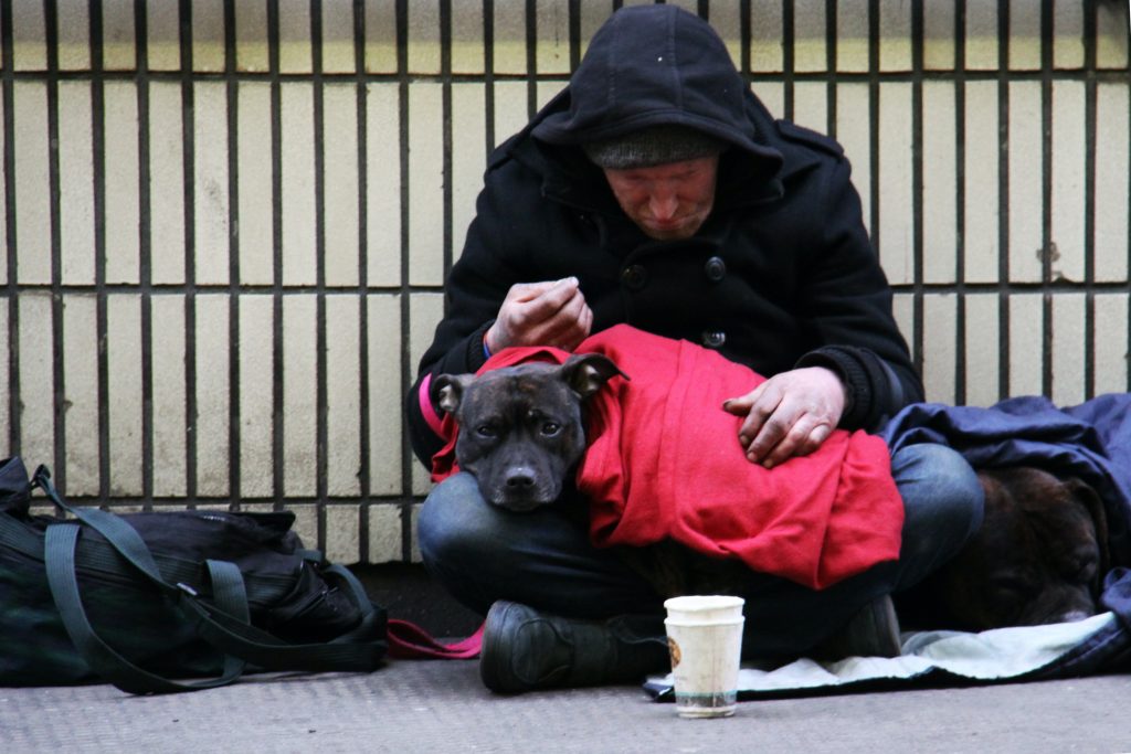 Aperto a Milano un centro per senzatetto con animali